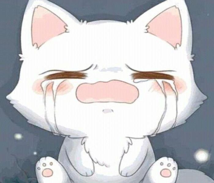 Ảnh mèo anime chibi buồn khóc cute đáng yêu