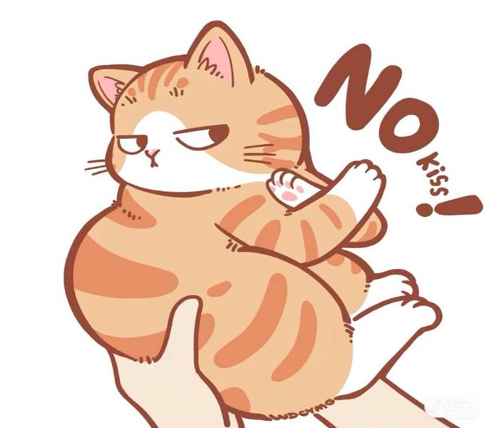 Ảnh mèo mập anime chibi cute 