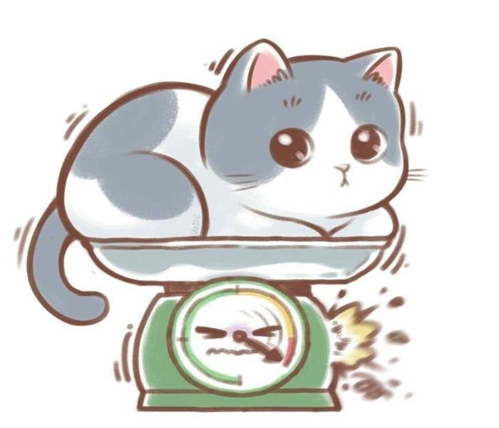Ảnh mèo mập anime chibi cute 
