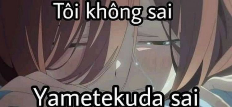 Ảnh meme anime