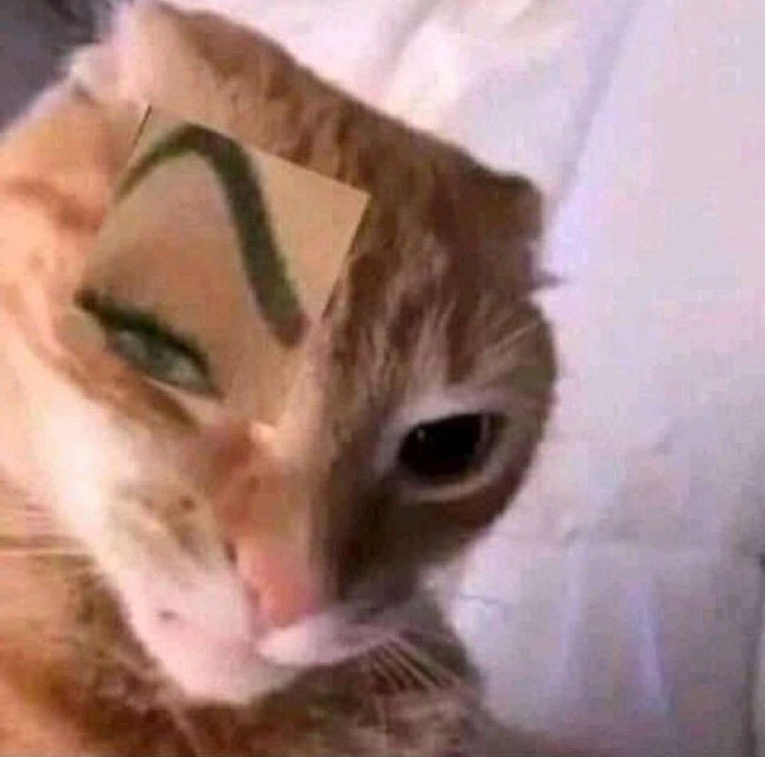 Meme sigma khôi hài khi lạnh lùng trở thành trò cười mới